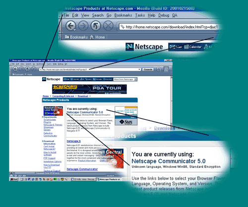 You are currently using: Netscape Communicator 5.0